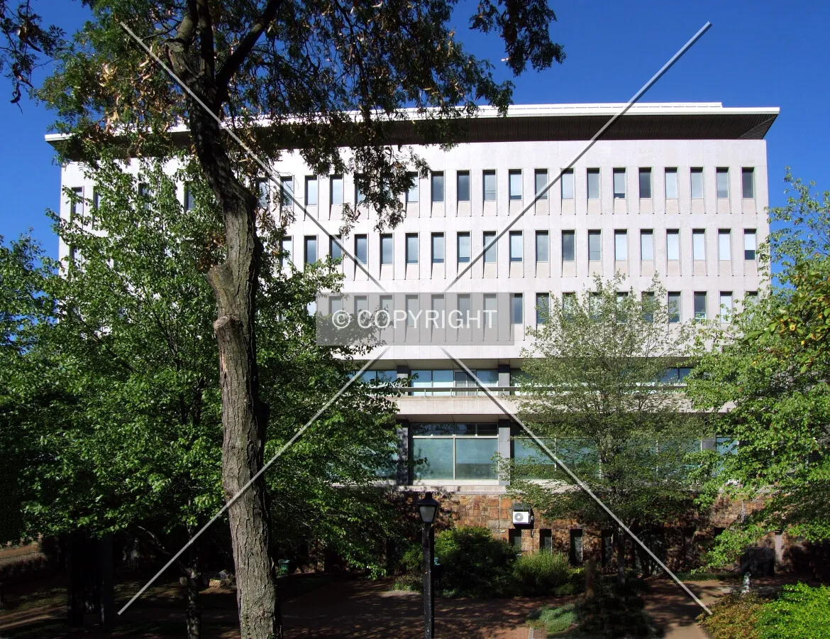 View from the east