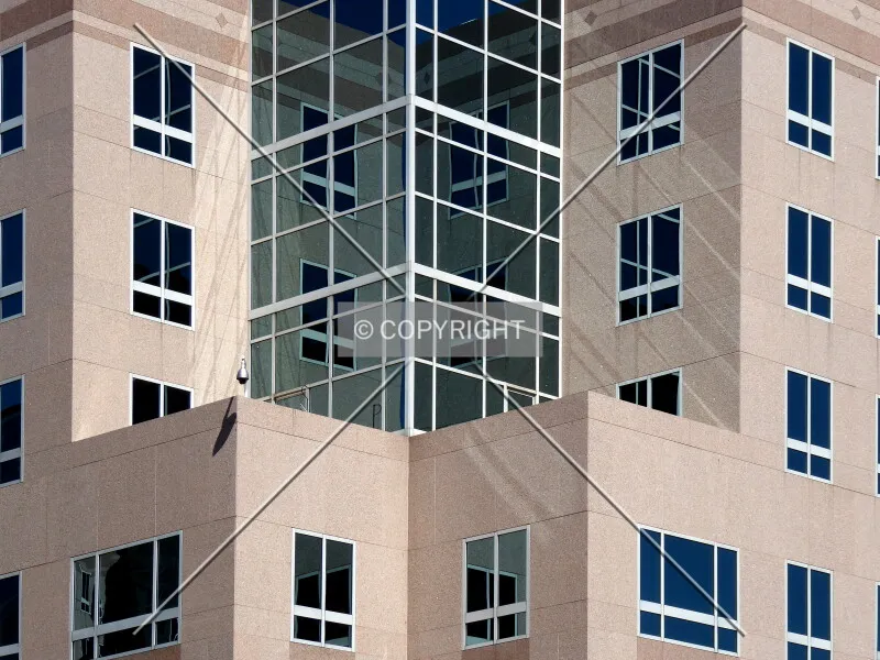 Photo 795-146-445