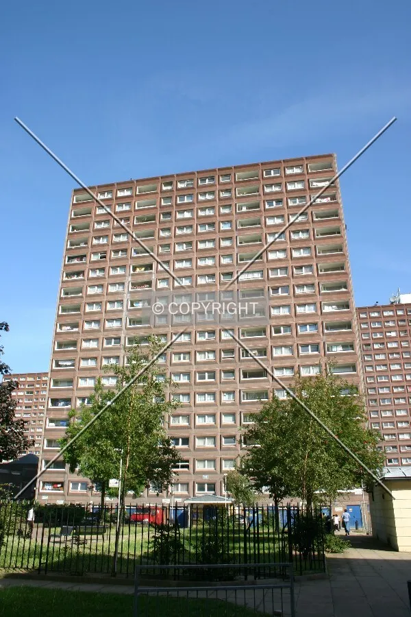 View from the estate