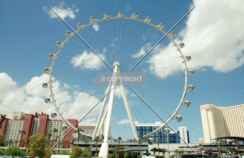 Photo 795-686-094