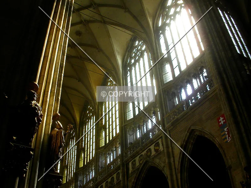 Photo 795-841-022