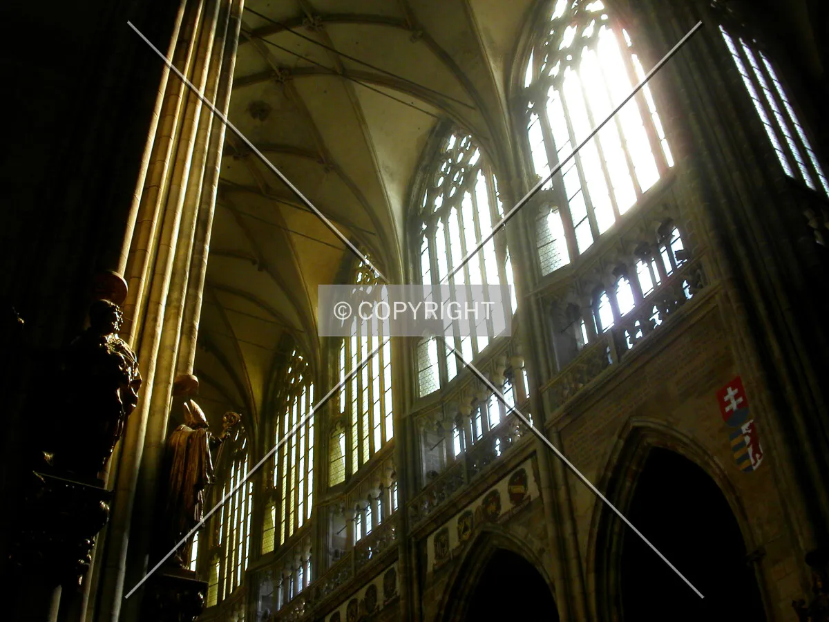 Looking up into the cathedral