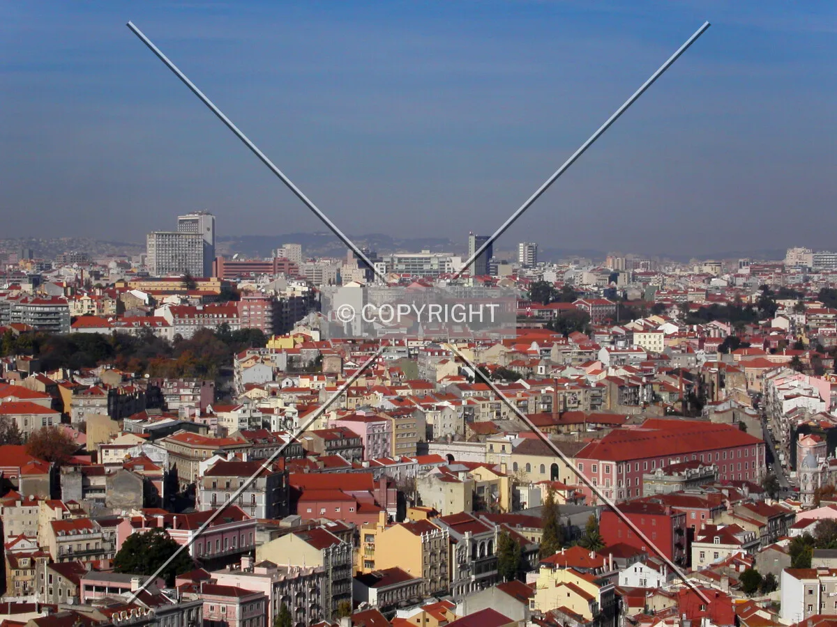 Photo 796-273-735
