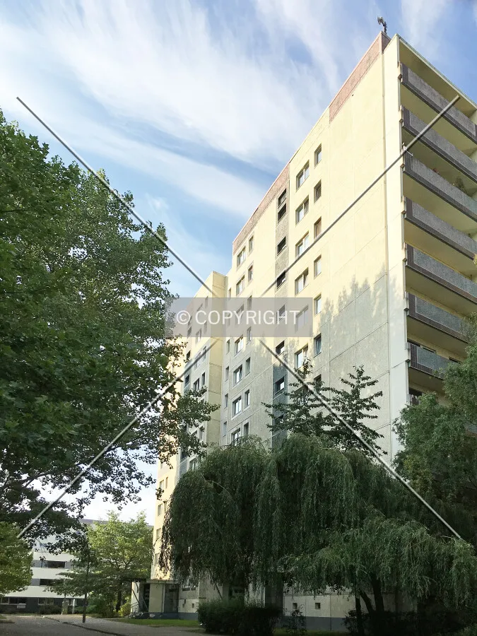 Photo 796-422-649