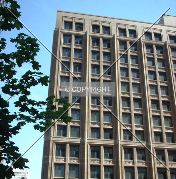 Photo 796-545-382