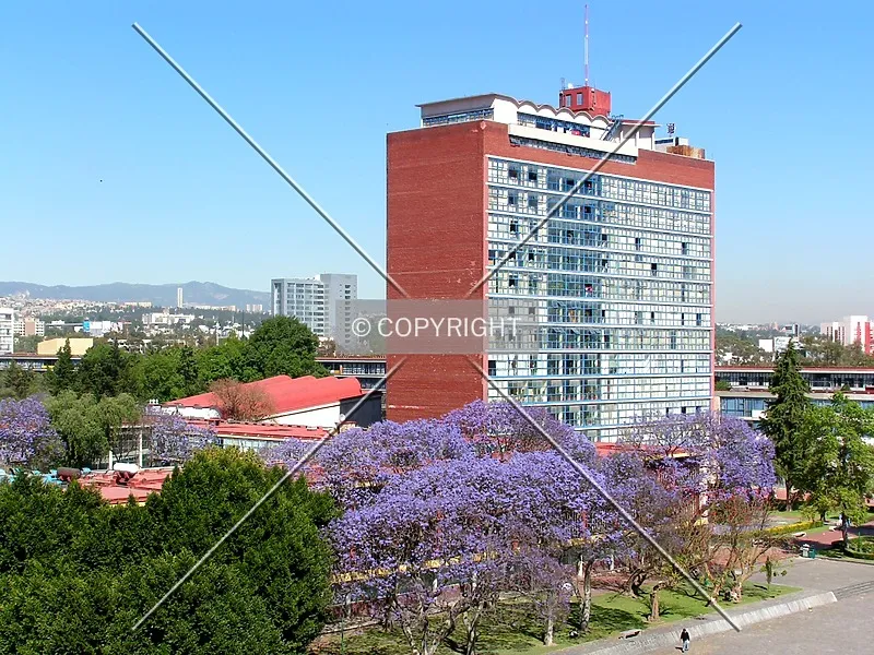 Photo 079-684-778