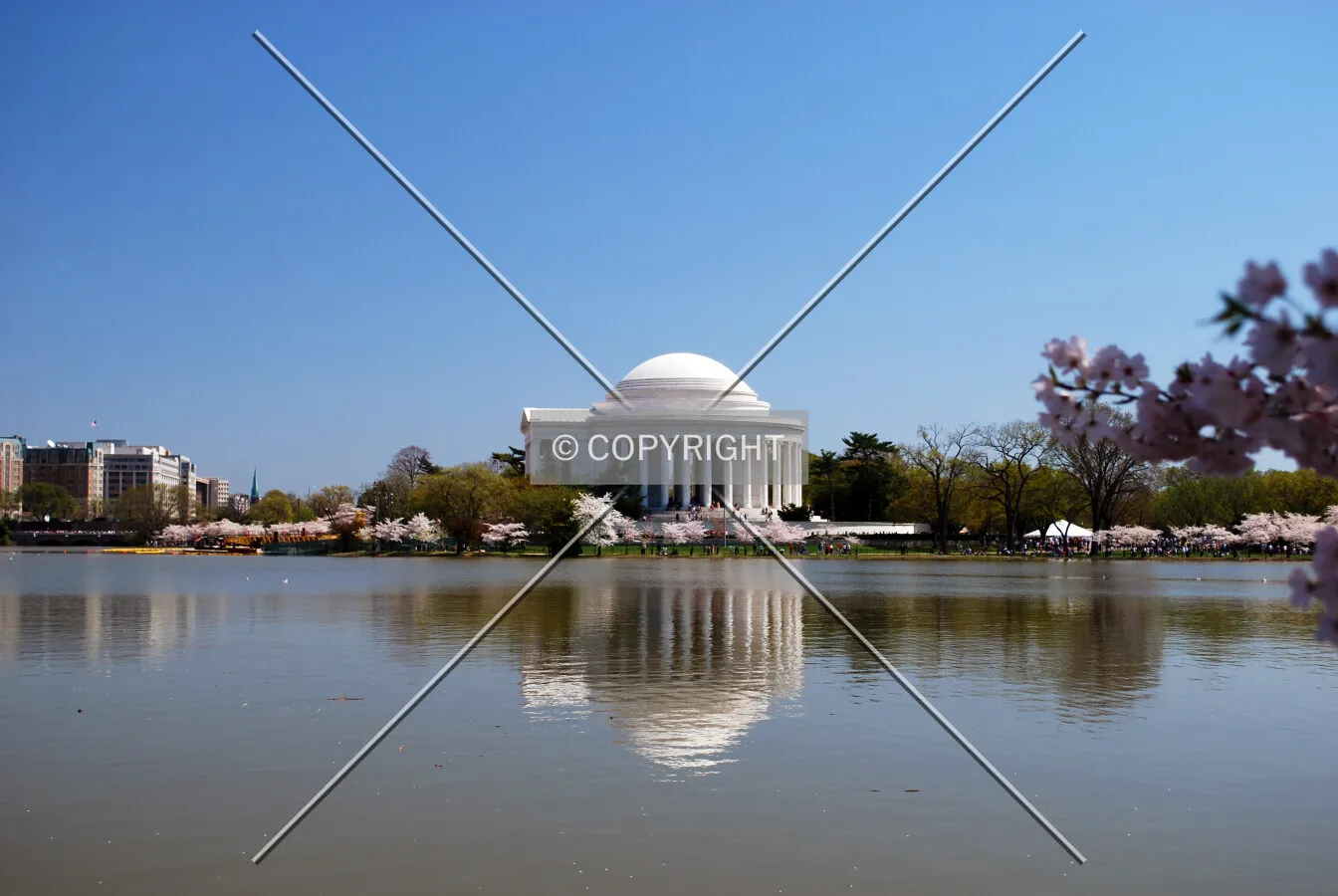 Photo 796-873-784