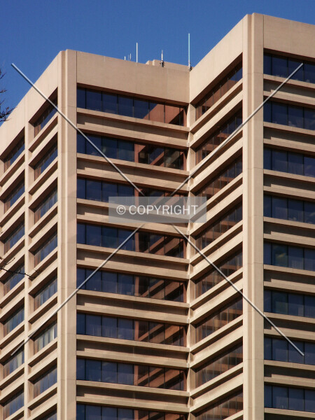 Photo 796-954-238