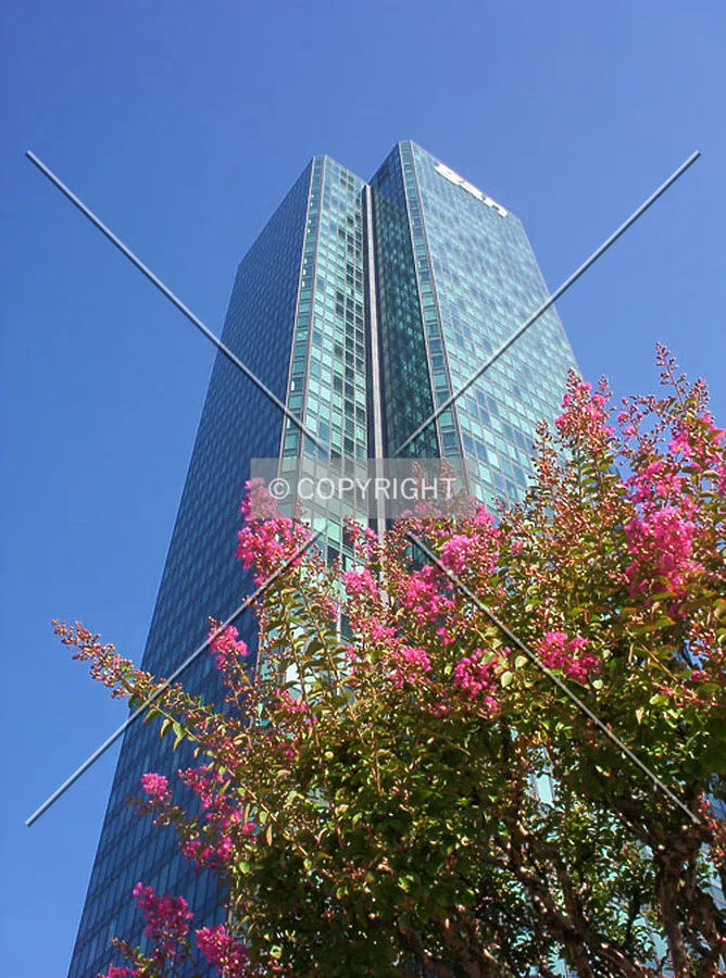 Looking up the southeast corner