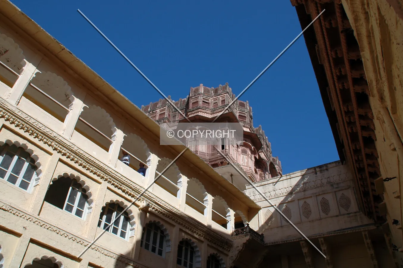 Photo 797-141-738