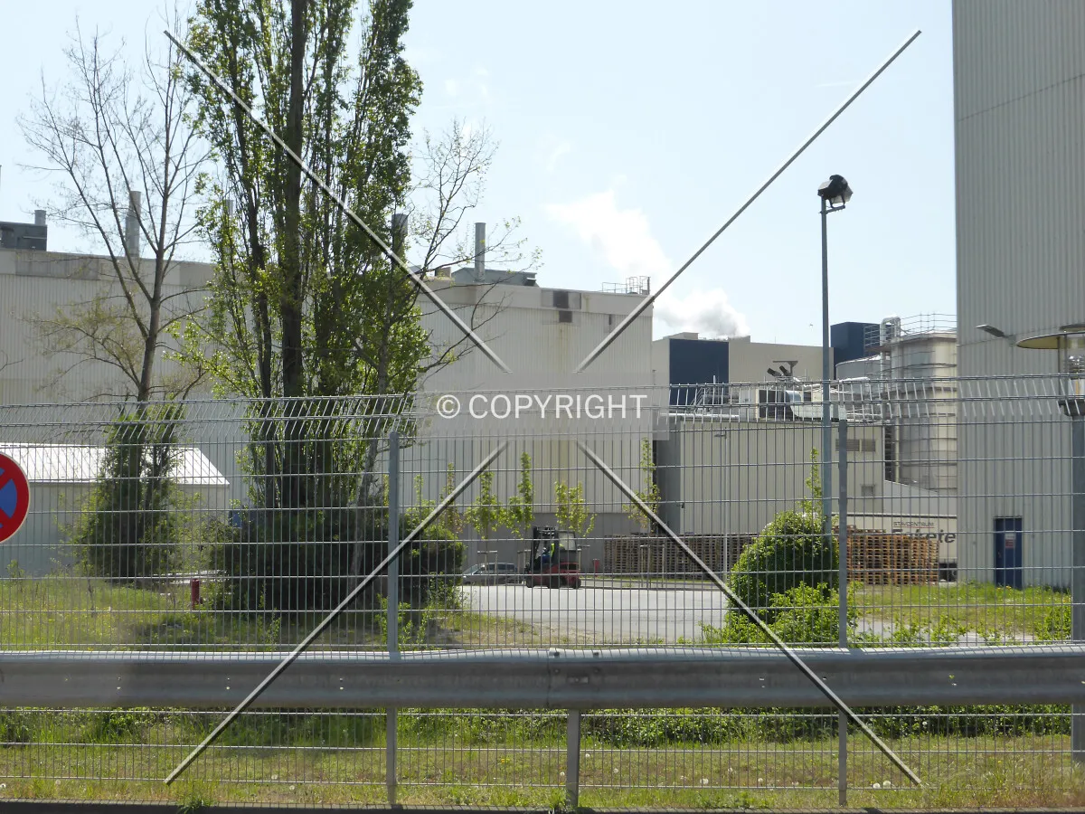Photo 797-193-674