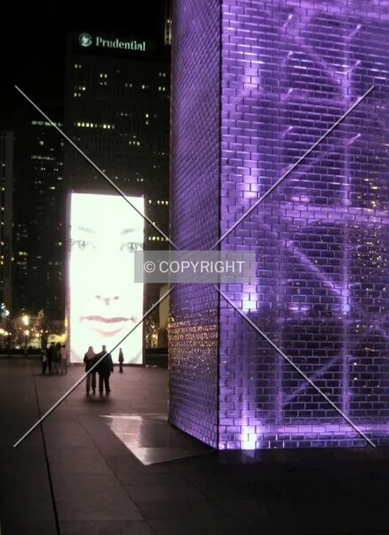 Photo 797-196-520