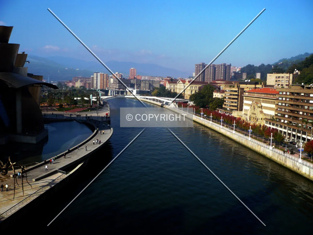 Photo 797-238-514