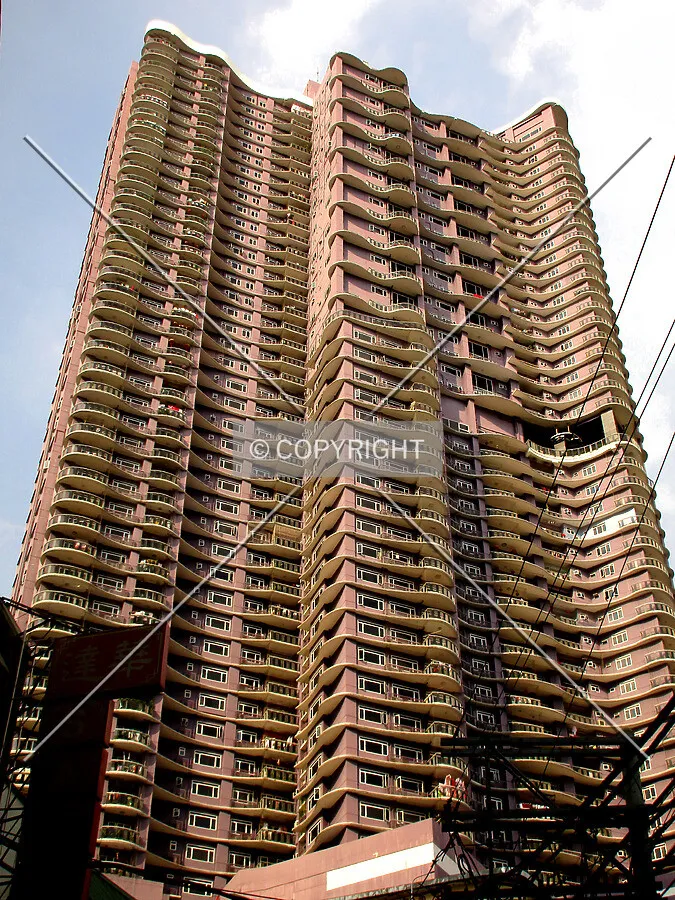 Photo 797-294-048