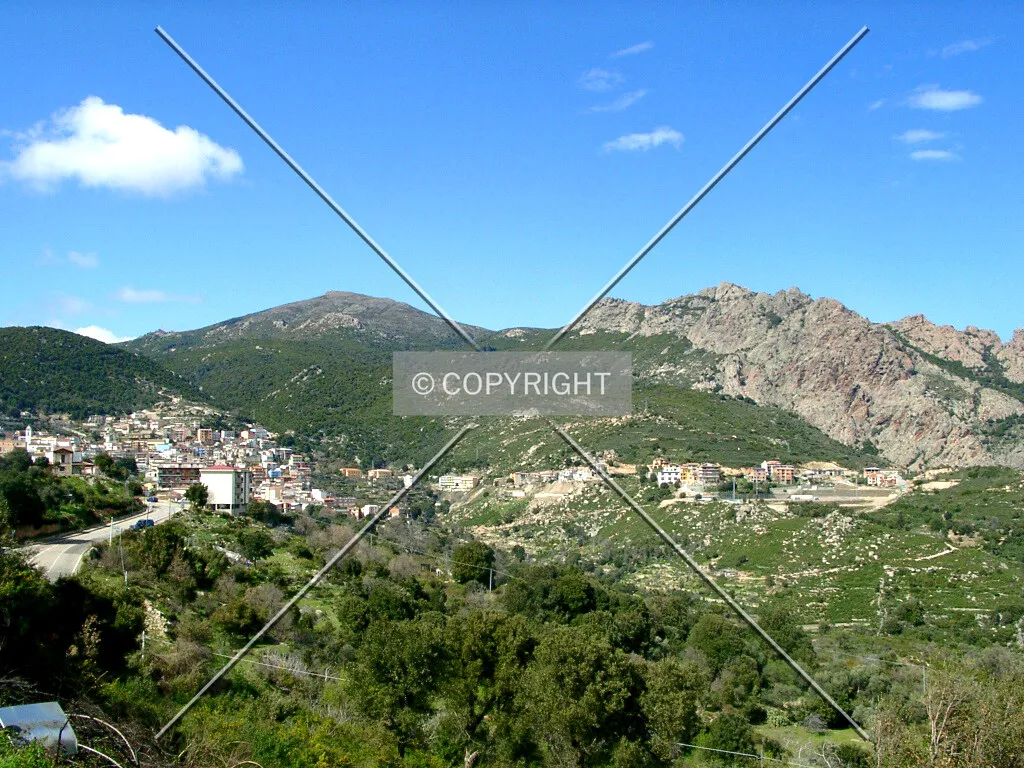 Photo 797-487-565