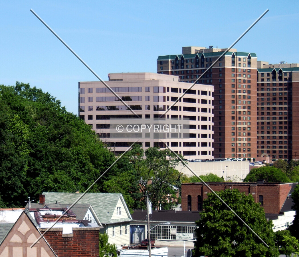 View from the southeast