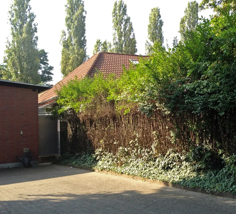 Photo 079-796-659