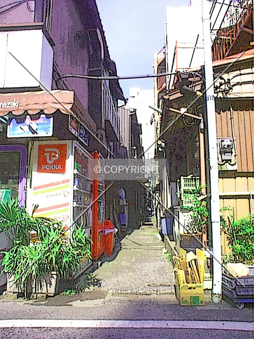 Photo 797-996-743