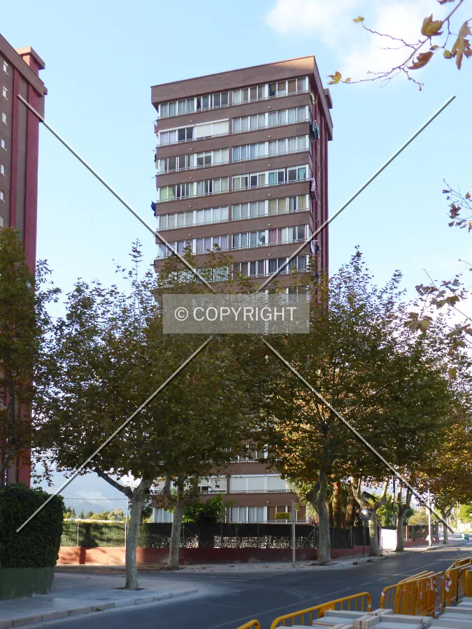 Photo 079-801-262
