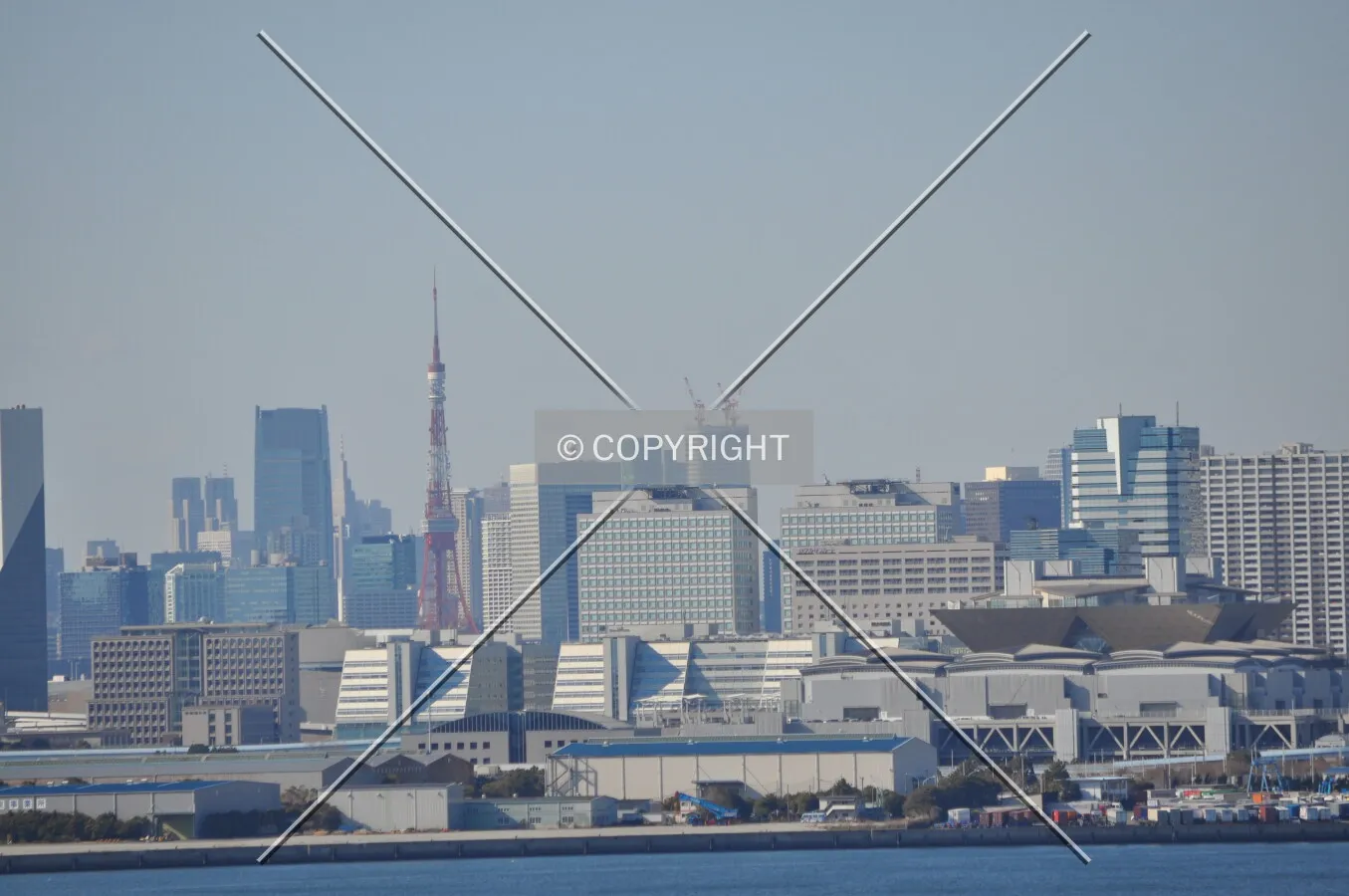 Photo 798-043-780