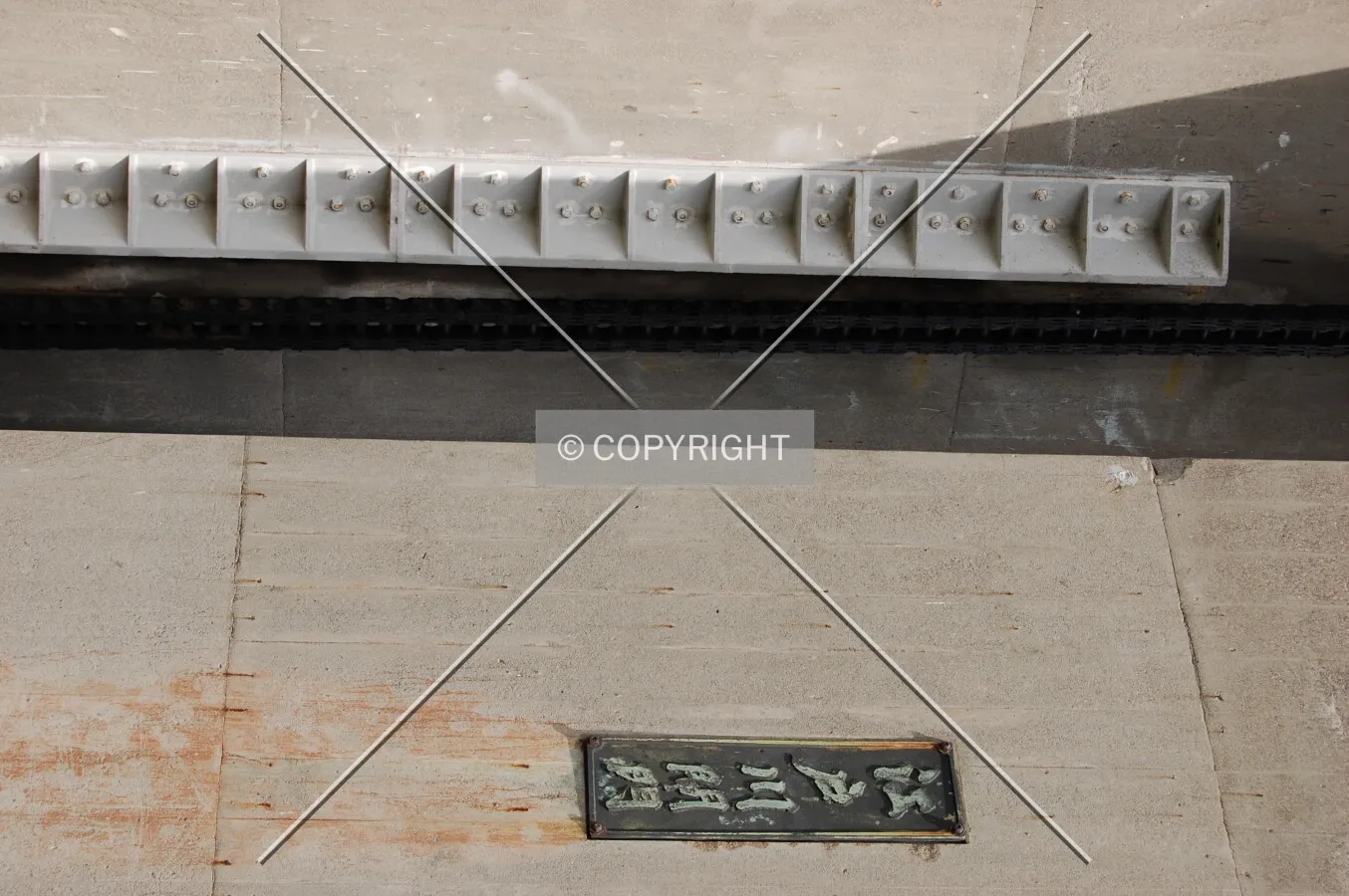 Photo 798-161-961
