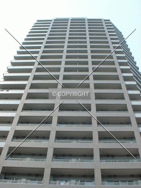 Photo 798-177-295