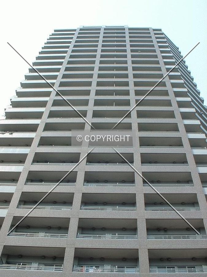 Photo 798-177-295