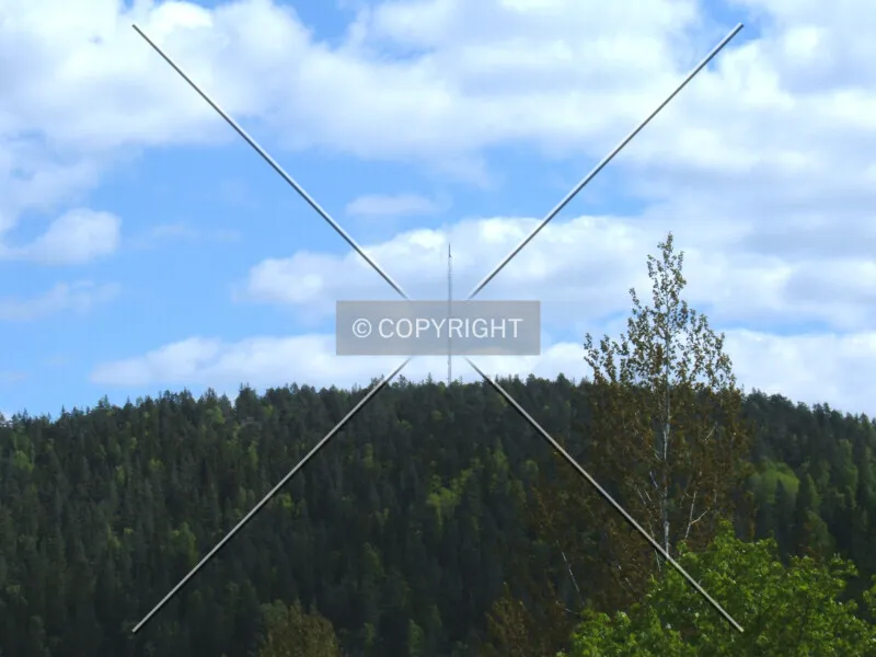 Photo 798-281-613