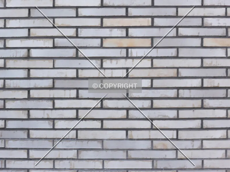 Photo 798-293-571