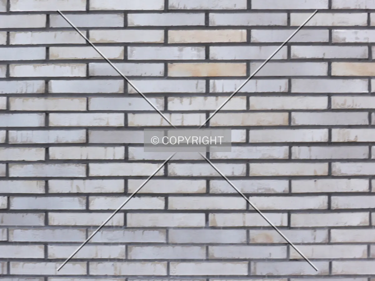 Photo 798-293-571