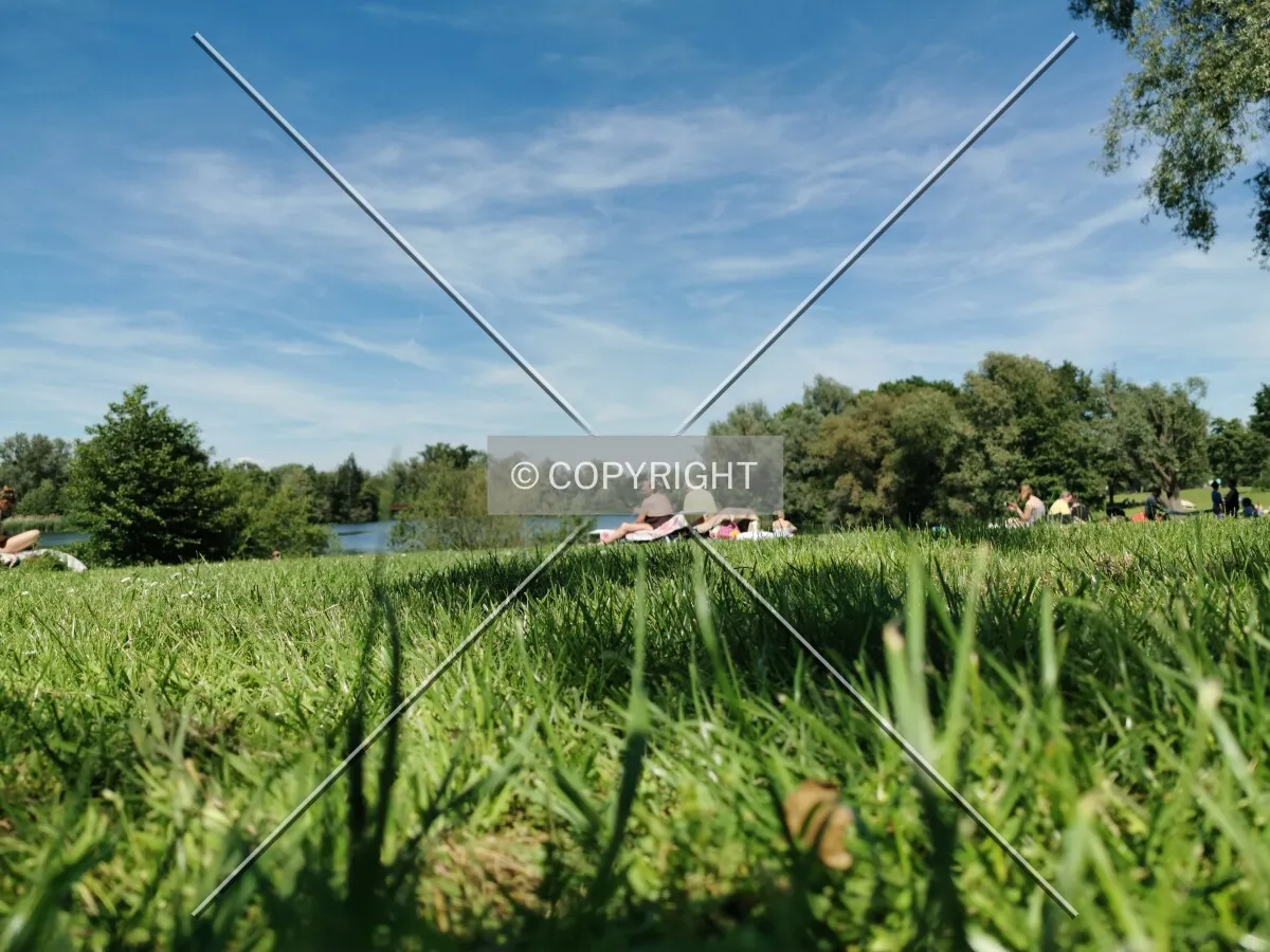 Photo 798-382-778