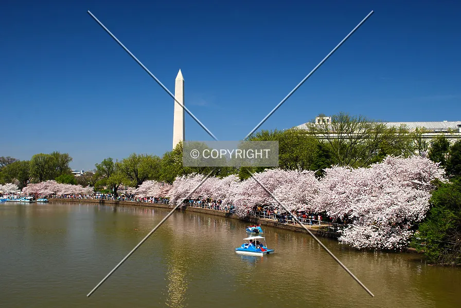 Photo 798-463-943