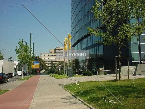 Photo 798-753-136