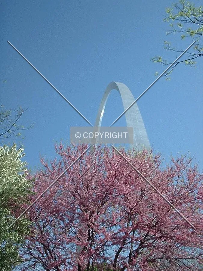View to the northeast with Spring blossoms