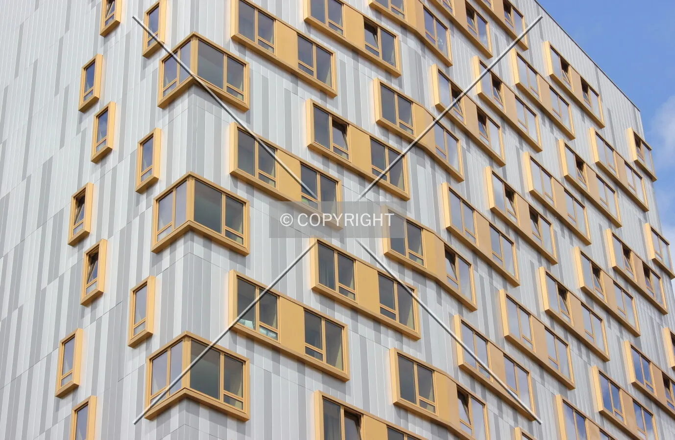 Photo 798-771-836