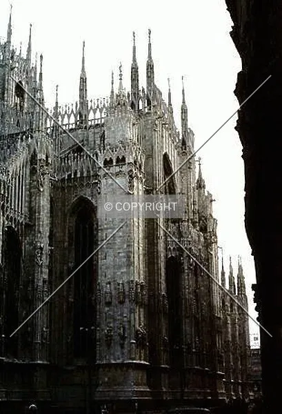 Photo 798-849-245