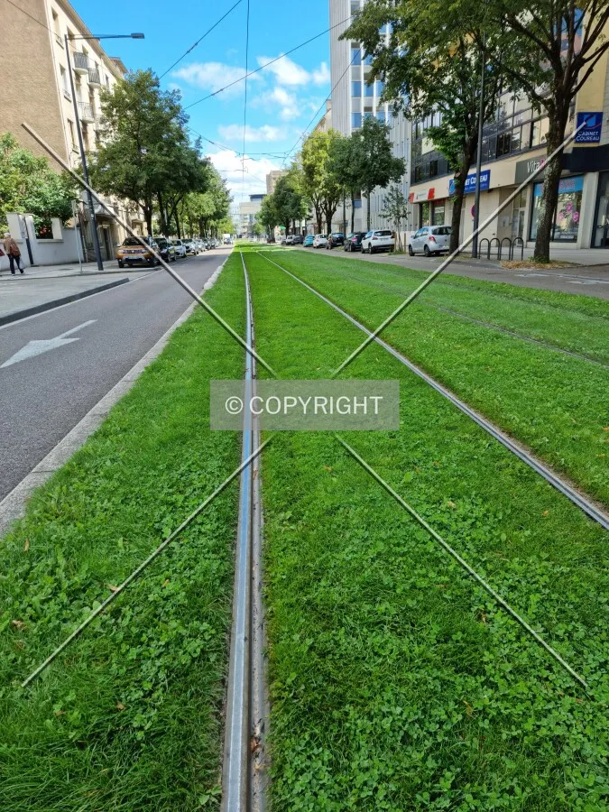 Photo 799-016-661