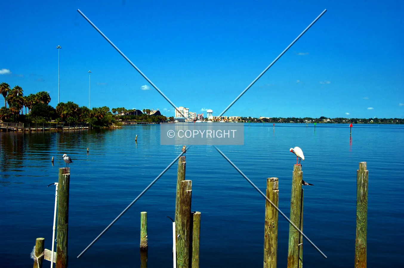 Photo 799-174-218