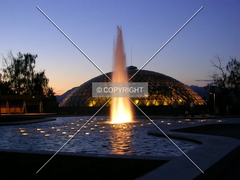 Photo 799-326-993