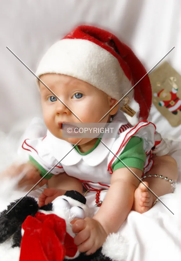 Photo 799-329-387