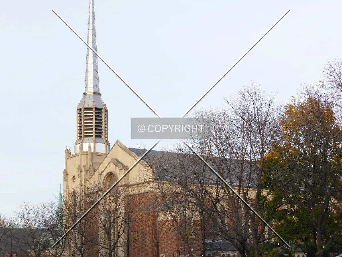Photo 799-362-738
