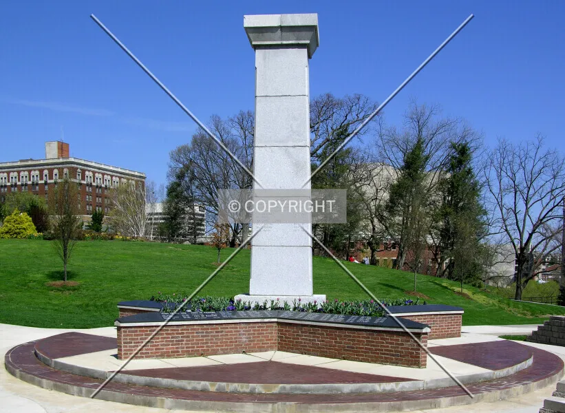 Photo 799-669-718
