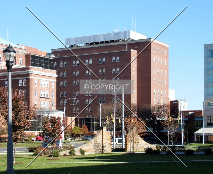 Photo 799-782-592