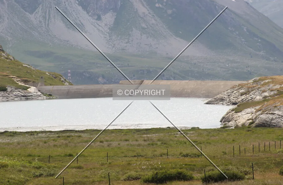 Photo 799-826-071