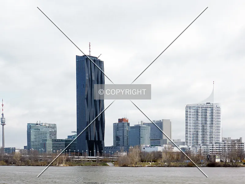 Photo 800-015-393