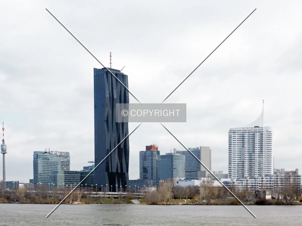 Photo 800-015-393