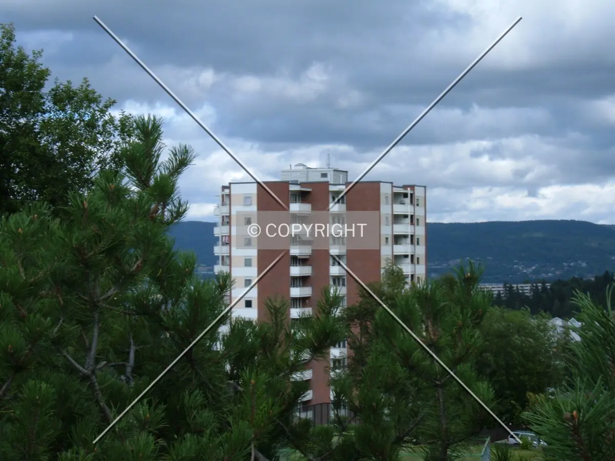 Daytime view