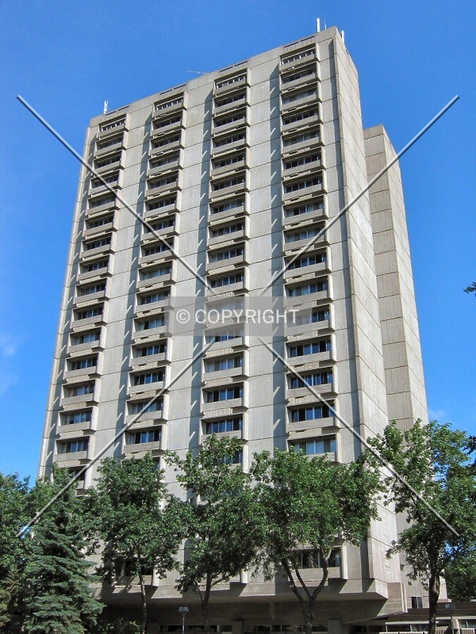Looking up from North Grotto Street