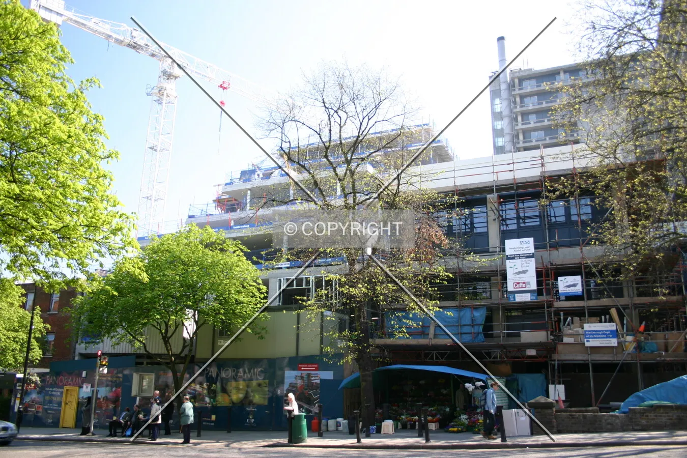 View from South End Green