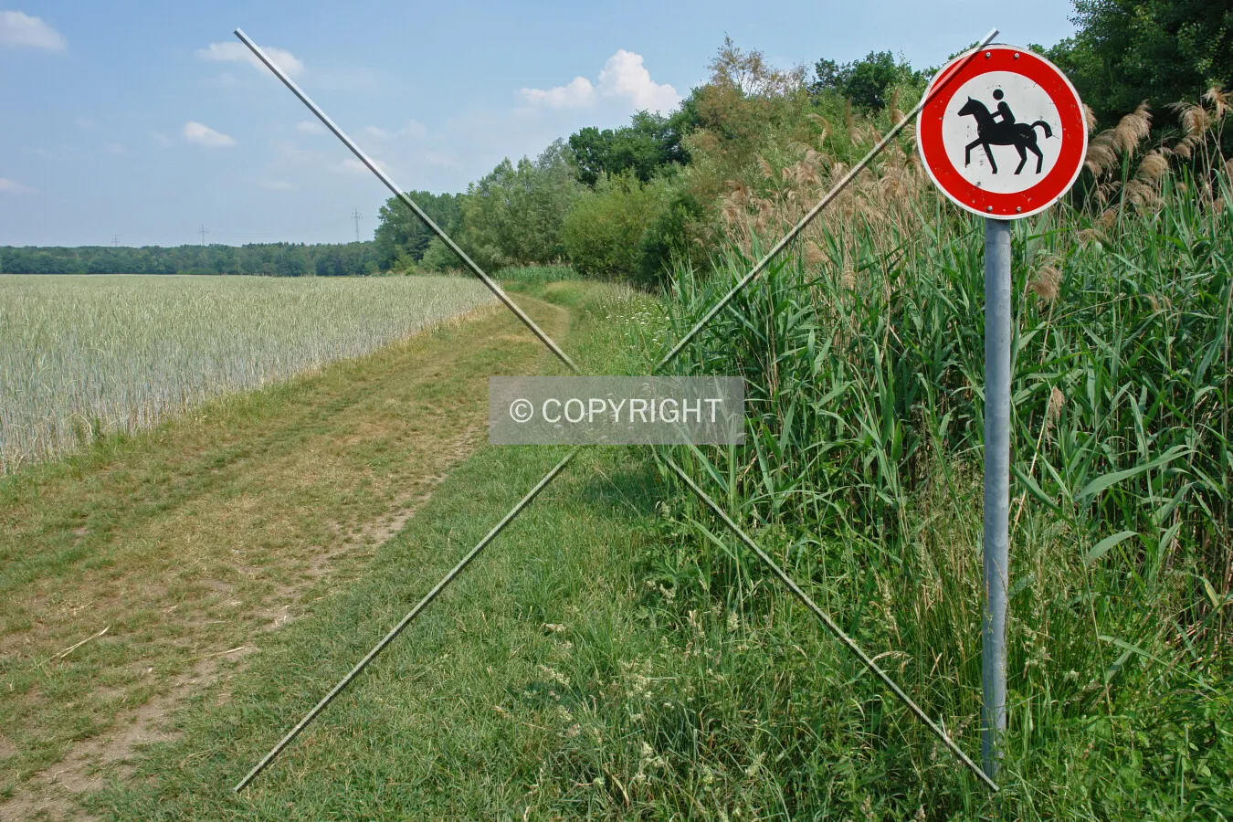 No horse riding allowed